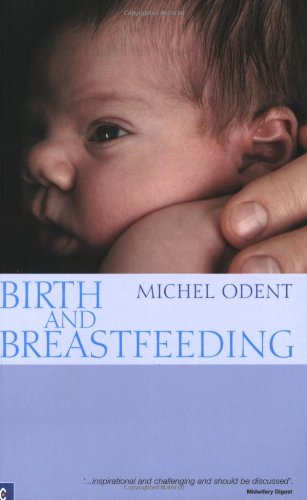 Birth and Breastfeeding: Rediscovering the Needs of Women During Pregnancy and Childbirth  2008 9781905570065 Front Cover