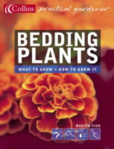Bedding Plants (Collins Practical Gardener) N/A 9780007164066 Front Cover