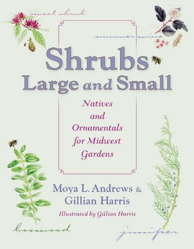 Shrubs Large and Small Natives and Ornamentals for Midwest Gardens  2013 9780253009067 Front Cover