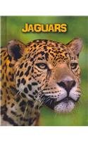 Jaguars:   2014 9781432981068 Front Cover