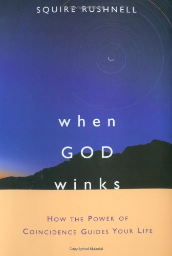 When GOD Winks How the Power of Coincidence Guides Your Life  2002 9780743467070 Front Cover