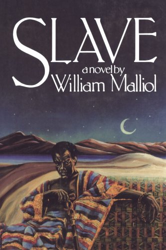 Slave A Novel N/A 9780393335071 Front Cover