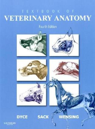 Textbook of Veterinary Anatomy  4th 2010 9781416066071 Front Cover