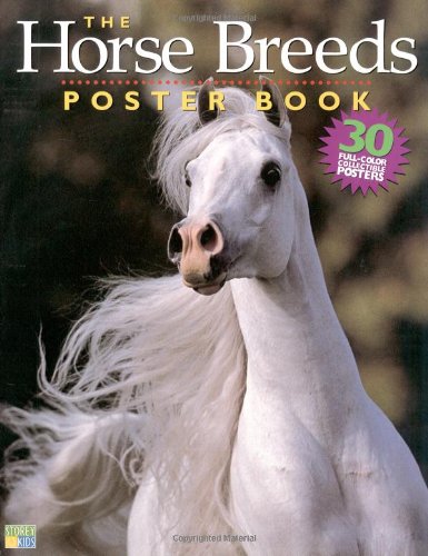 Horse Breeds Poster Book   2003 9781580175074 Front Cover