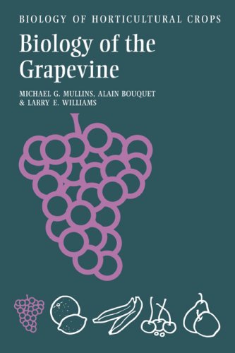 Biology of the Grapevine   1992 9780521305075 Front Cover