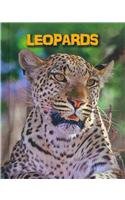 Leopards:   2014 9781432981075 Front Cover