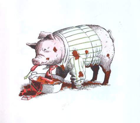Animals Should Definitely Not Wear Clothing Edition:2nd ISBN