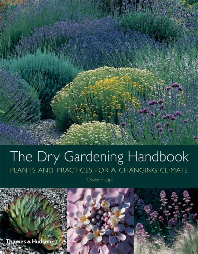 Dry Gardening Handbook Plants and Practices for a Changing Climate  2008 9780500514078 Front Cover