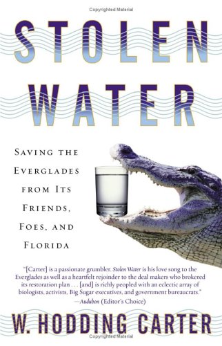 Stolen Water Saving the Everglades from Its Friends, Foes, and Florida  2005 9780743474078 Front Cover