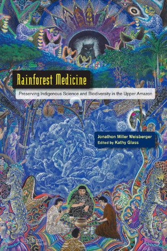 Rainforest Medicine Preserving Indigenous Science and Biodiversity in the Upper Amazon  2013 9781583946084 Front Cover