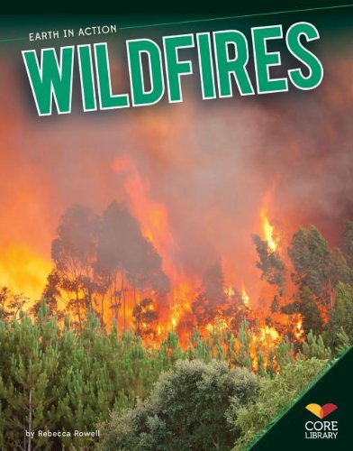 Wildfires:   2013 9781624030086 Front Cover