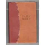 NIV Bible   2003 9780310628088 Front Cover