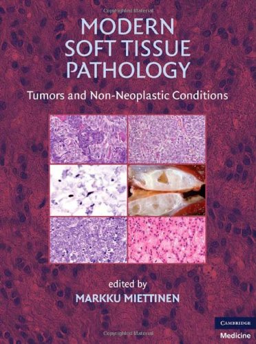 Modern Soft Tissue Pathology Tumors and Non-Neoplastic Conditions  2010 9780521874090 Front Cover
