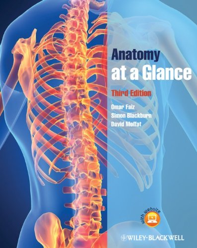 Anatomy  3rd 2011 9781444336092 Front Cover