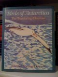 Birds of Antarctica The Wandering Albatross N/A 9780316182096 Front Cover