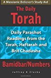 Daily Torah - Bamidbar/Numbers Daily Parashot Readings from the Torah, Haftarah and Brit Chadasha N/A 9781461142096 Front Cover
