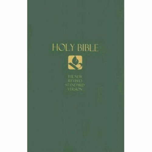 Economy Bible-NRSV   2006 9781565635098 Front Cover