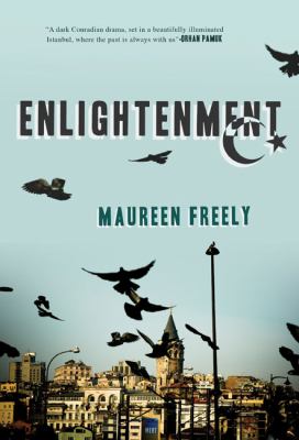 Enlightenment A Novel N/A 9781590202098 Front Cover