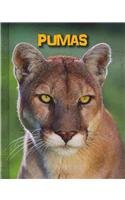 Pumas:   2014 9781432981099 Front Cover