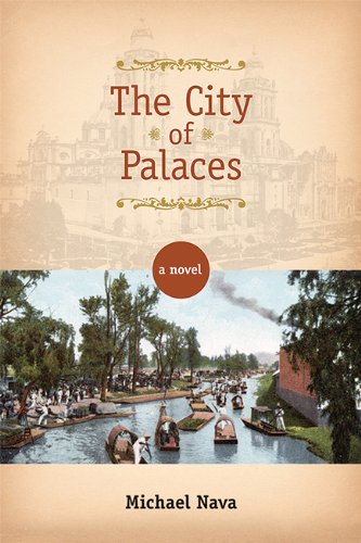 City of Palaces A Novel  2014 9780299299101 Front Cover