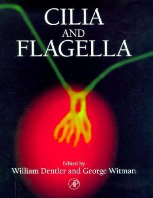 Methods in Cell Biology Vol. 47 : Cilia and Flagella  1995 9780122097102 Front Cover