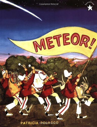 Meteor!   1996 9780698114104 Front Cover