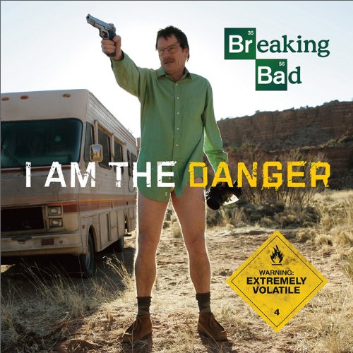 Breaking Bad I Am the Danger  2013 9780762451104 Front Cover