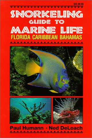 Snorkeling Guide to Marine Life Florida, Caribbean, Bahamas N/A 9781878348104 Front Cover