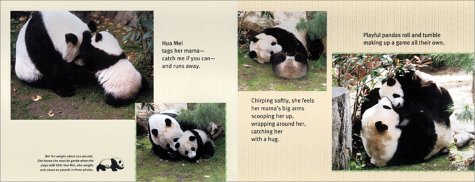 Little Panda The World Welcomes Hua Mei at the San Diego Zoo  2001 9780689843105 Front Cover
