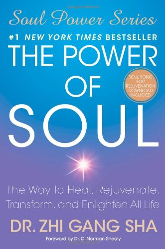 Power of Soul The Way to Heal, Rejuvenate, Transform, and Enlighten All Life  2009 9781416589105 Front Cover