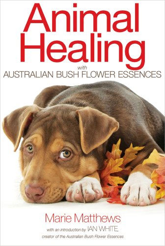Animal Healing with Australian Bush Flower Essences   2013 9781844096107 Front Cover