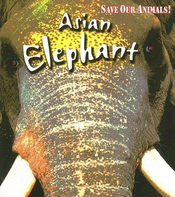 Asian Elephant   2007 9781403478108 Front Cover
