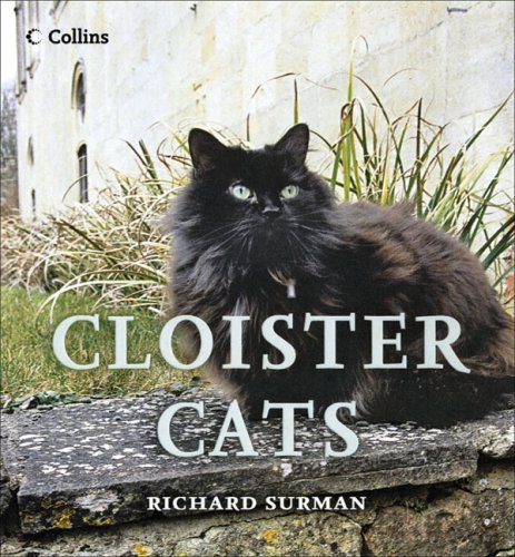 Cloister Cats   2007 9780007232109 Front Cover