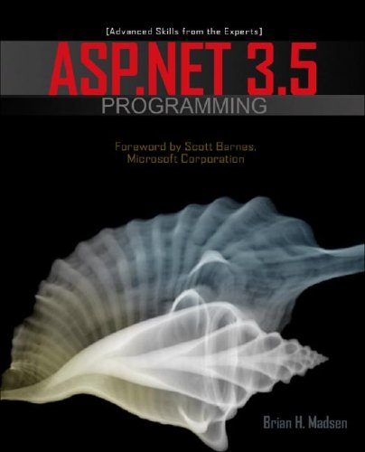 ASP. NET 4. 0 Programming   2010 9780071604109 Front Cover