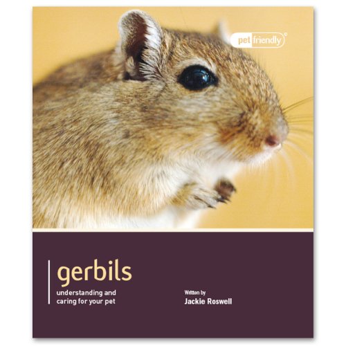 Gerbils   2013 9781907337109 Front Cover