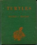 Turtles N/A 9780152914110 Front Cover