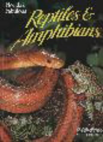 Florida's Fabulous Reptiles and Amphibians 1st 9780911977110 Front Cover