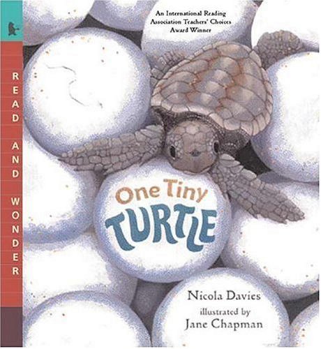 One Tiny Turtle Read and Wonder Reprint  9780763623111 Front Cover