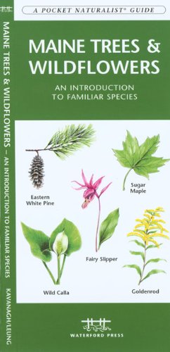 Maine Trees and Wildflowers A Folding Pocket Guide to Familiar Species  2017 9781583554111 Front Cover