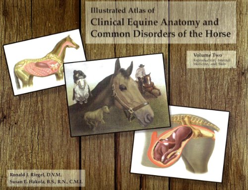 Illustrated Atlas of Clinical Equine Anatomy and Common Disorders of the Horse Vol. 2 : Reproduction, Internal Medicine and Skin N/A 9780965446112 Front Cover