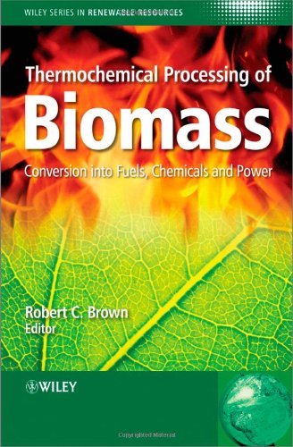 Thermochemical Processing of Biomass Conversion into Fuels, Chemicals and Power  2011 9780470721117 Front Cover