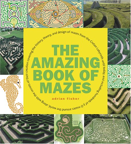 Amazing Book of Mazes   2006 9780810943117 Front Cover