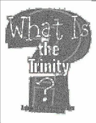 What Is the Trinity?  N/A 9781426742118 Front Cover