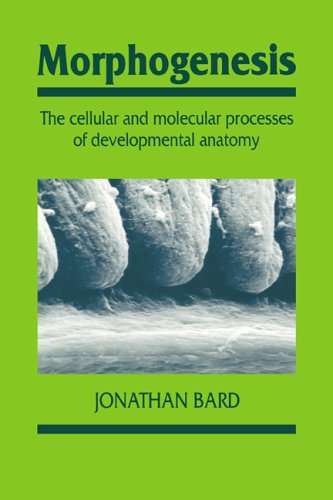 Morphogenesis The Cellular and Molecular Processes of Developmental Anatomy  2002 9780521436120 Front Cover