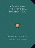 Collection of Fishes from Sumatra  N/A 9781169701120 Front Cover