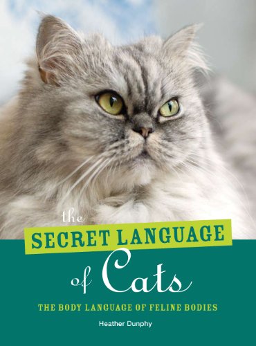 Secret Language of Cats The Body Language of Felie Bodies  2011 9780887628122 Front Cover
