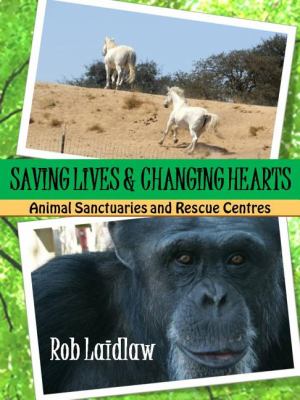 Saving Lives and Changing Hearts Animal Sanctuaries and Rescue Centers  2012 9781554552122 Front Cover