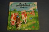 Why Is Grass Green? N/A 9780026888127 Front Cover