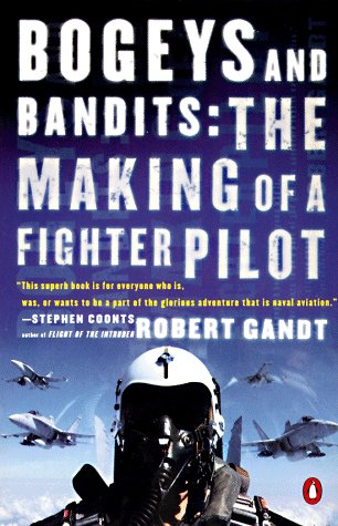 Bogeys and Bandits The Making of a Fighter Pilot  1997 9780140264128 Front Cover