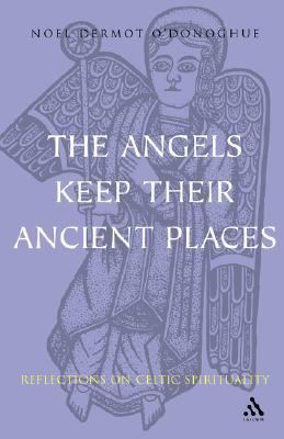Angels Keep Their Ancient Places Reflections on Celtic Spirituality  2001 9780567088130 Front Cover